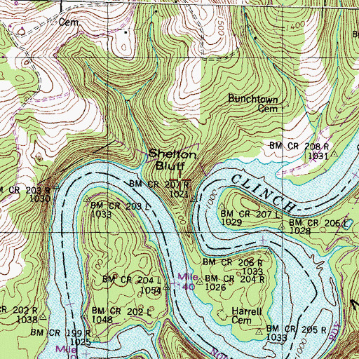 Topographic Map of Shelton Bluff, TN