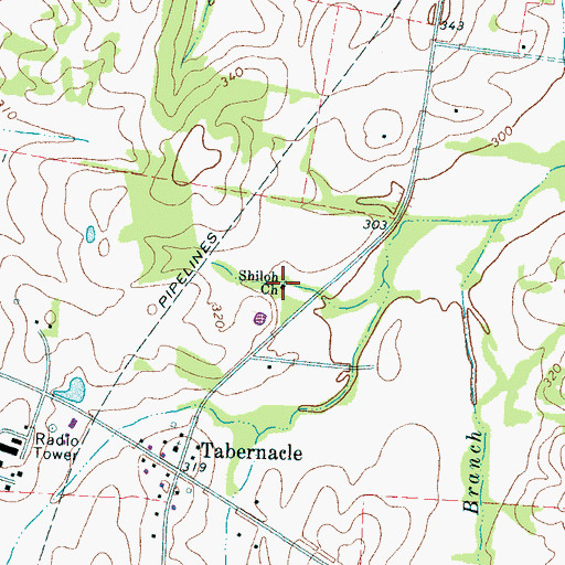 Topographic Map of Shiloh Church, TN