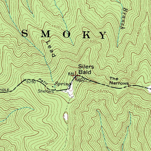 Topographic Map of Silers Bald, TN