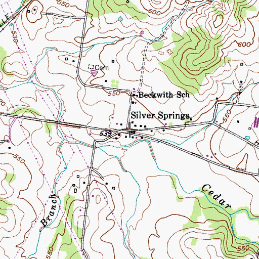 Topographic Map of Silver Springs, TN