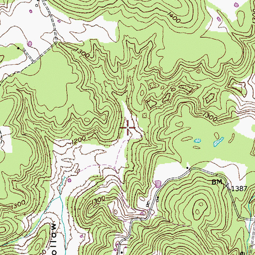 Topographic Map of Sinking Cane Hollow, TN