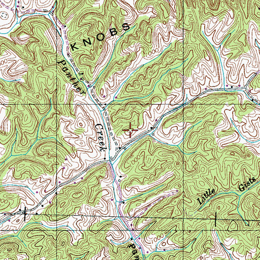 Topographic Map of Slate Knobs, TN