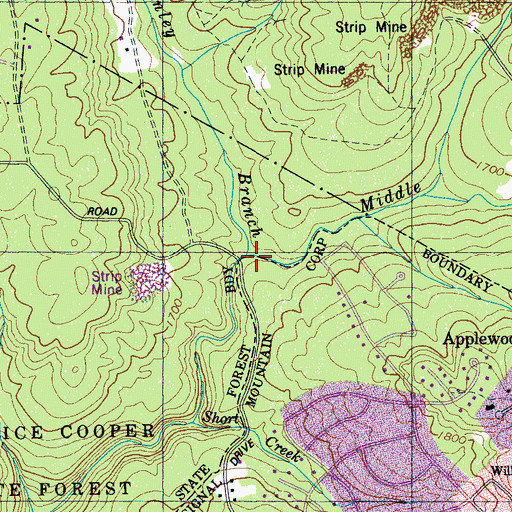 Topographic Map of Stanley Branch, TN