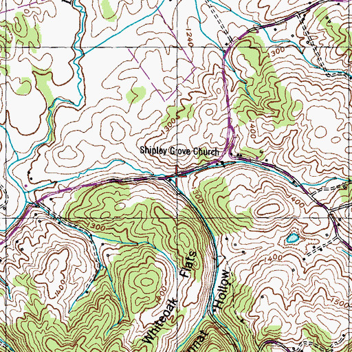 Topographic Map of Stinnat Hollow, TN