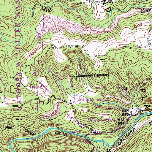 Topographic Map of Summers Cemetery, TN