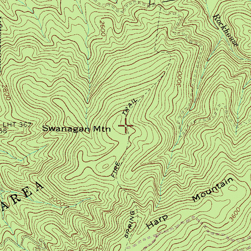 Topographic Map of Swanagan Mountain, TN