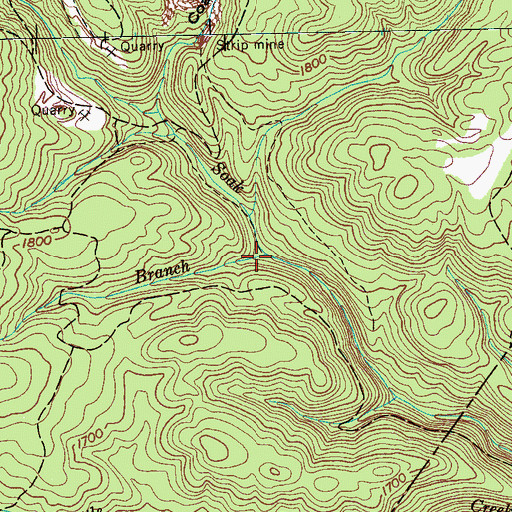 Topographic Map of Sweeny Branch, TN