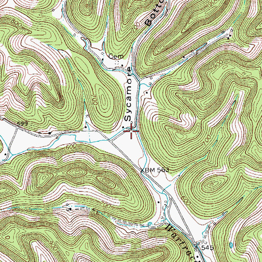 Topographic Map of Sycamore Bottom, TN