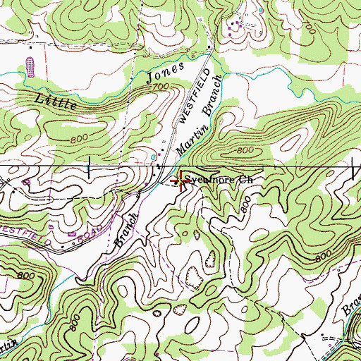 Topographic Map of Sycamore Church, TN