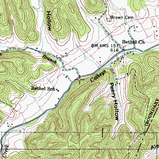 Topographic Map of Tatum Branch, TN