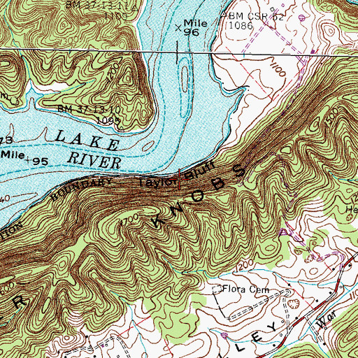 Topographic Map of Taylor Bluff, TN
