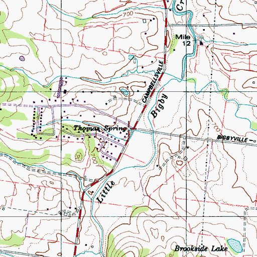 Topographic Map of Thomas Spring, TN