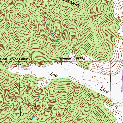 Topographic Map of Tongue Spring, AL