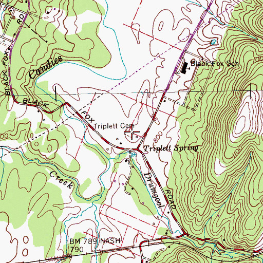 Topographic Map of Triplett Cemetery, TN