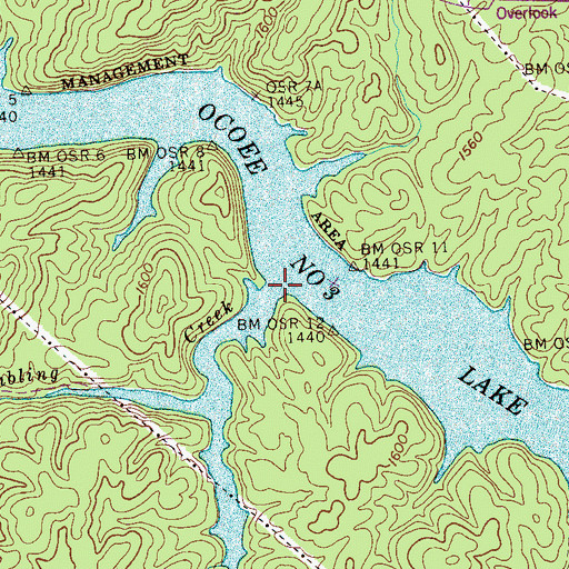 Topographic Map of Tumbling Creek, TN