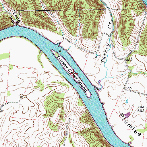 Topographic Map of Turkey Creek Island, TN