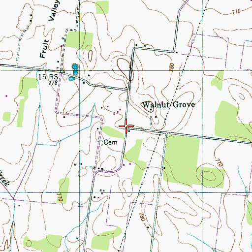 Topographic Map of Walnut Grove, TN