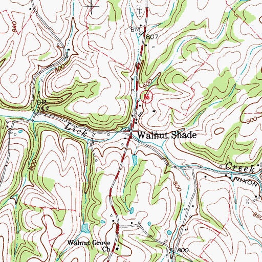 Topographic Map of Walnut Shade, TN