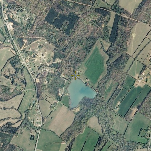 Aerial/Satellite Image of Ward Spring, TN