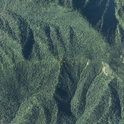 Aerial/Satellite Image of West Point, TN