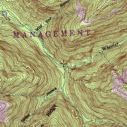 Topographic Map of Wheeler Creek, TN