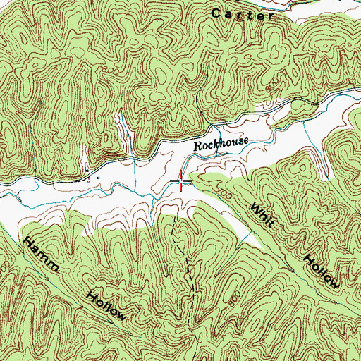 Topographic Map of Whit Hollow, TN