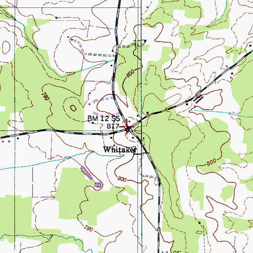Topographic Map of Whitaker, TN