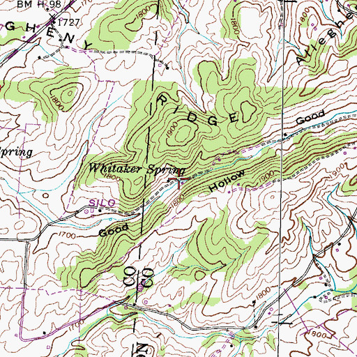 Topographic Map of Whitaker Spring, TN