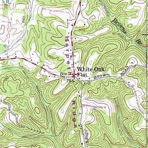 Topographic Map of White Oak Flat, TN