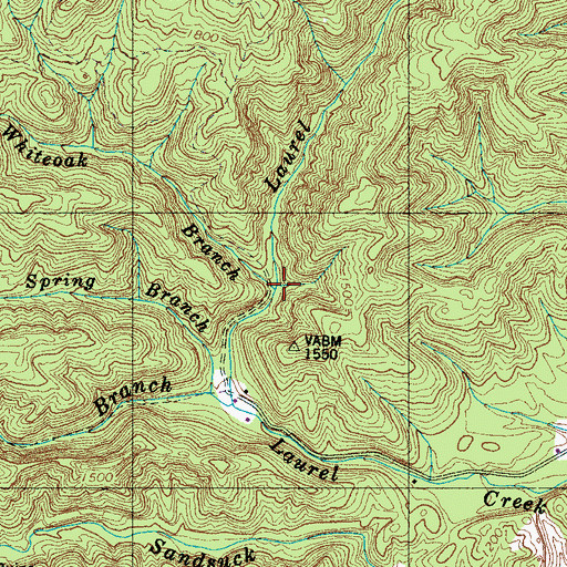 Topographic Map of Whiteoak Branch, TN