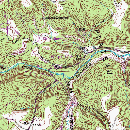 Topographic Map of Whiteoak School, TN