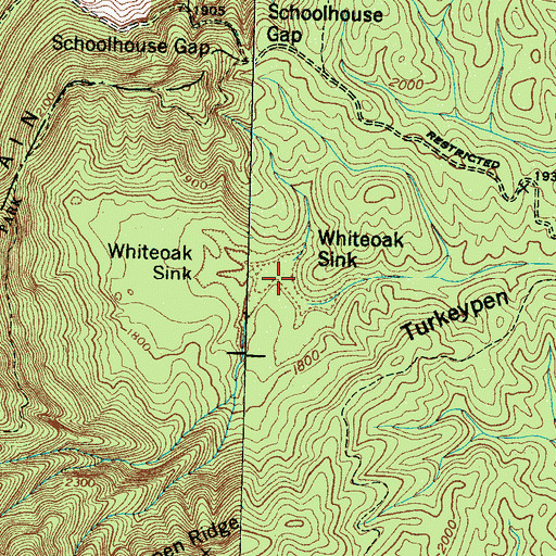 Topographic Map of Whiteoak Sink, TN