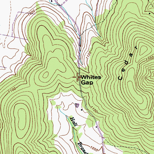 Topographic Map of Whites Gap, TN