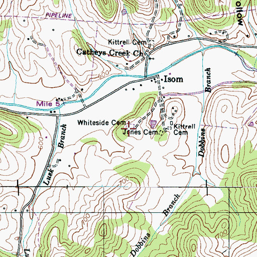 Topographic Map of Whiteside Cemetery, TN