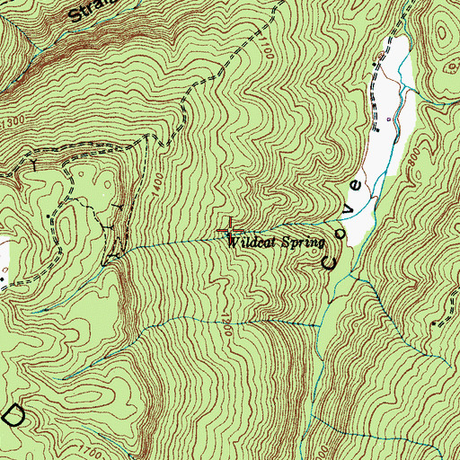 Topographic Map of Wildcat Spring, TN