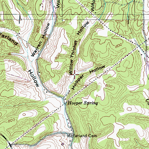 Topographic Map of Willow Thicket Hollow, TN