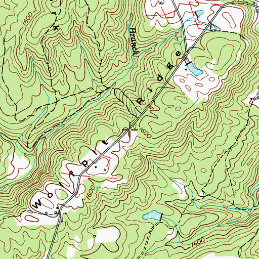 Topographic Map of Wolfpit Ridge, TN