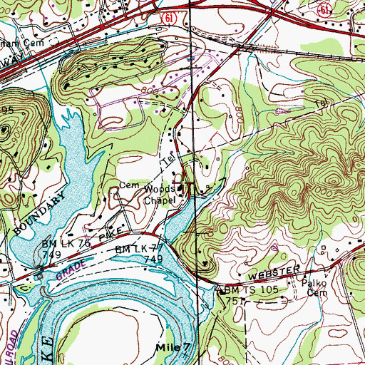 Topographic Map of Woods Chapel, TN