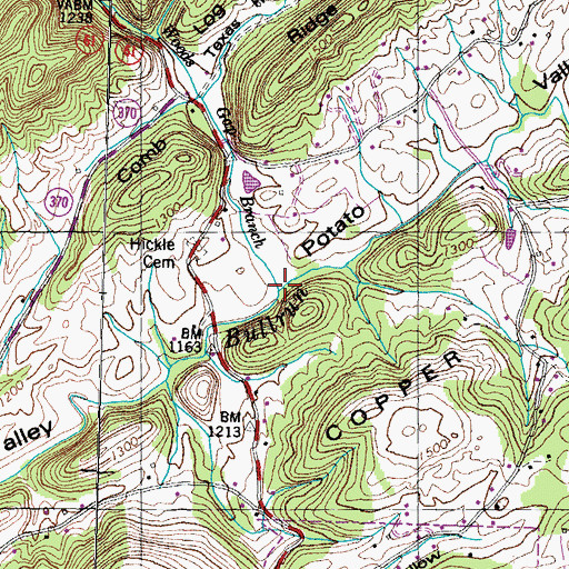 Topographic Map of Woods Gap Branch, TN