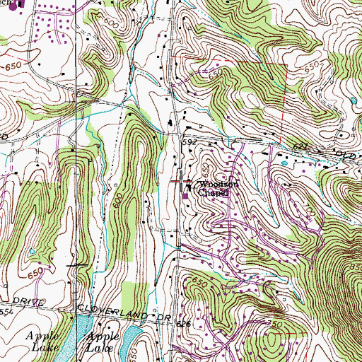 Topographic Map of Woodson Chapel, TN