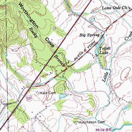 Topographic Map of Worthington Cove, TN