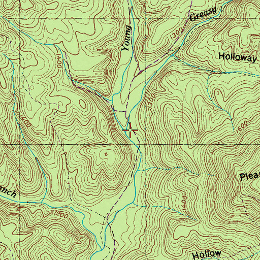 Topographic Map of Young Creek, TN