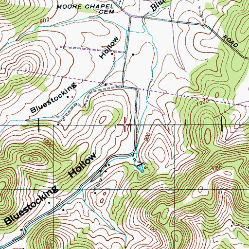 Topographic Map of Bluestocking Hollow, TN