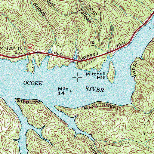 Topographic Map of Lake Ocoee, TN