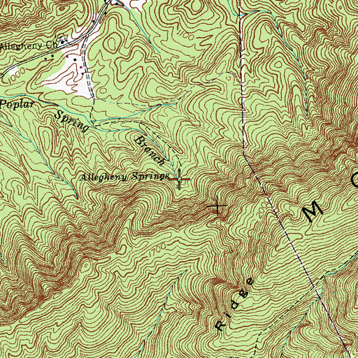 Topographic Map of Allegheny Springs, TN