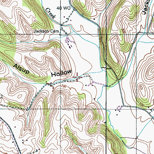 Topographic Map of Alsup Hollow, TN