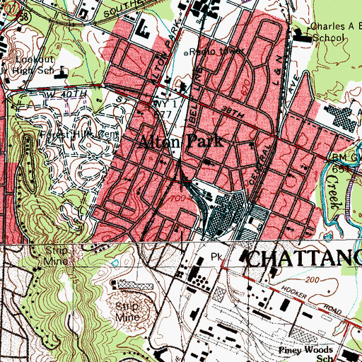 Topographic Map of Alton Park, TN