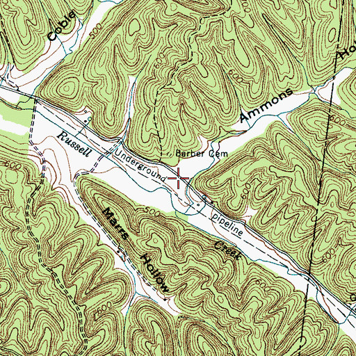 Topographic Map of Ammons Hollow, TN