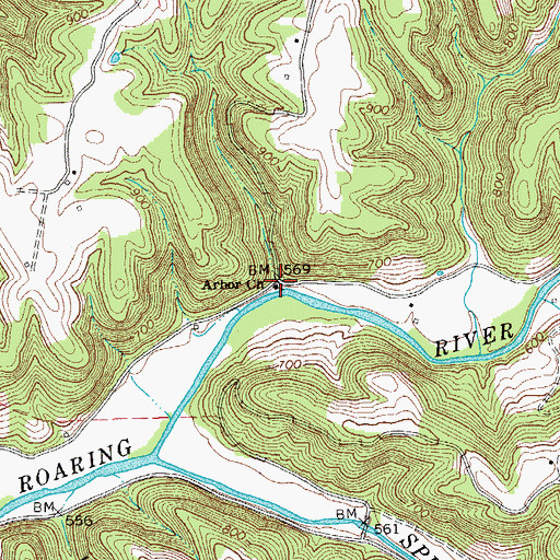 Topographic Map of Arbor Church, TN