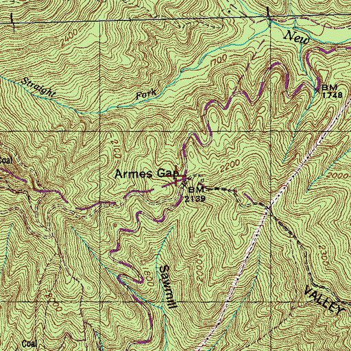 Topographic Map of Armes Gap, TN